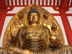 ��t�@�������i�����j�̎ʐ^1