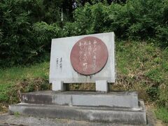 �u���t�W�v�̔�̎ʐ^1