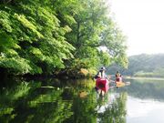 �J���b�N�̌��̎ʐ^2