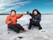 �킩�����ނ�̎ʐ^2