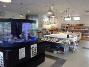 �͂����݃n�}�̉w����ł�?�΂̎ʐ^2