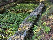 ���쓻�i���������j�̎ʐ^3