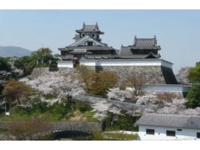 ���m�R��̍��̎ʐ^1