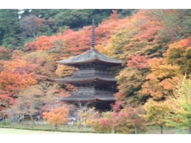 �����@�̍g�t�̎ʐ^1