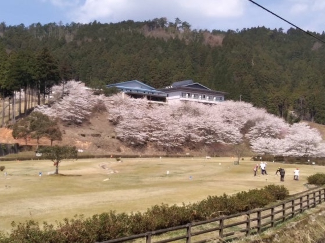 ����׉���̍��̎ʐ^1