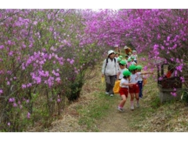 �݂΂��̎ʐ^1