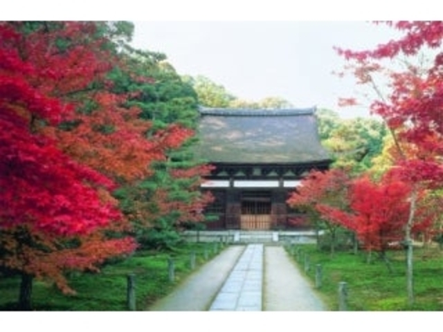 �V������x���̍g�t�̎ʐ^1