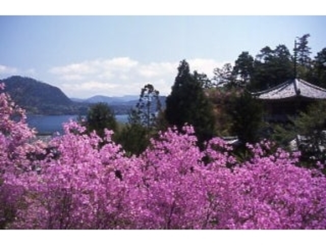 �݂΂��̎ʐ^1