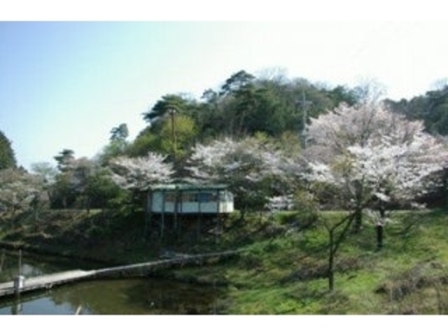 ����r�̍��̎ʐ^1