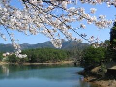 �O�i�r�����̍��̎ʐ^1