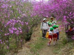 �݂΂��̎ʐ^1