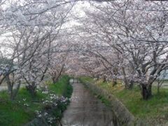 ���c�ӎs�̍��̎ʐ^1