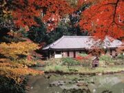 ��ڗ����̍g�t�̎ʐ^1