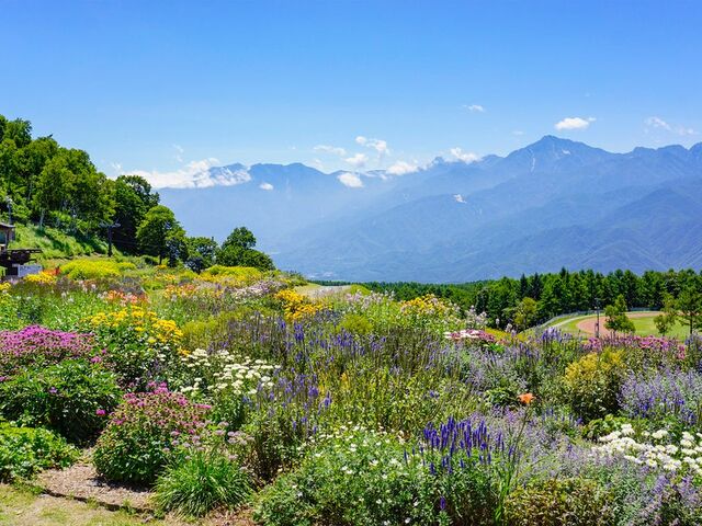 �x�m�������Ԃ̗��̎ʐ^1