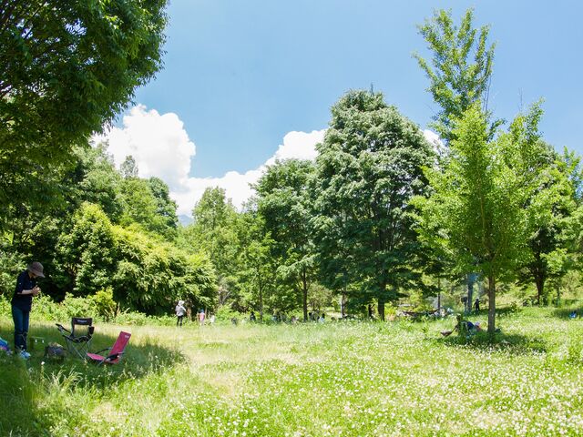 �����Ă̐X�̎ʐ^1