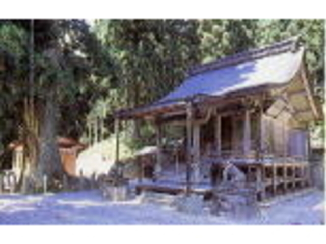 �����_�Ђ̎ʐ^1