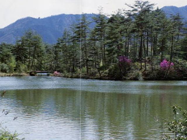 �������ČΔȂ̎ʐ^1