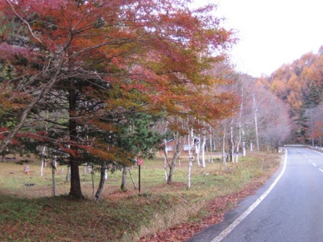 ��������(���ؑ�)�̎ʐ^1