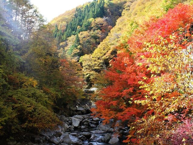 �۔��k�J�̎ʐ^1