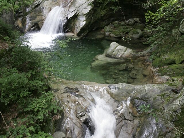 �֐�k�J�i�喾�_���j�E���{�ő勉�̃|�b�g�z�[���̎ʐ^1