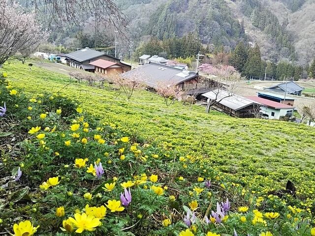 �ɓސ���̕������̎ʐ^2