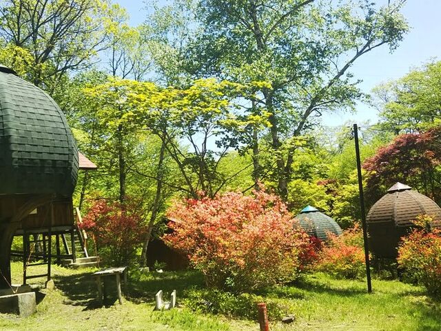 �̂����ǐX�ь����̎ʐ^1