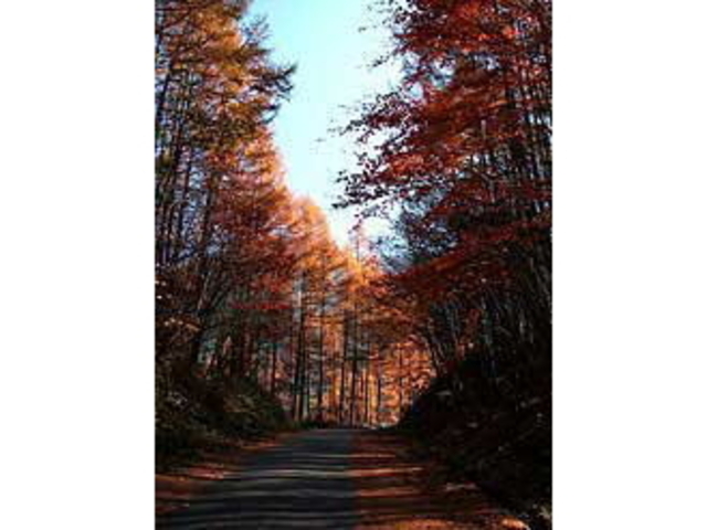 �ؑ]�Ó��i�ؑ]������R�����j�̎ʐ^1