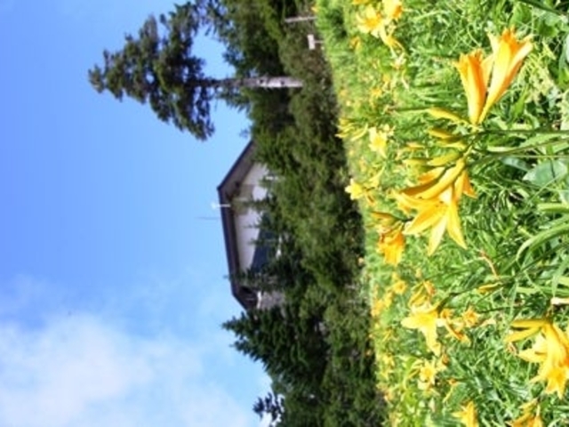 ���َR���R�A�����̎ʐ^1