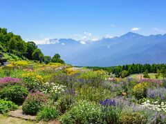 �x�m�������Ԃ̗��̎ʐ^1