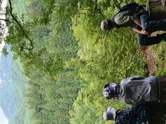 およりての森の写真1