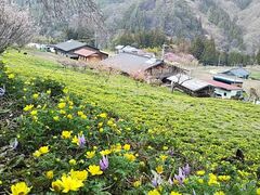 �ɓސ���̕������̎ʐ^1