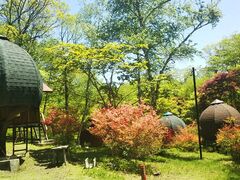 �̂����ǐX�ь����̎ʐ^1