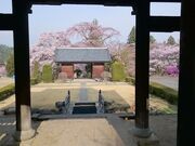 ���V���̂�������̎ʐ^2