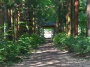 �����̎ʐ^3