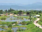 ���c�A���v�X���Â݂̌��� �x���E�䍂�n��̎ʐ^2