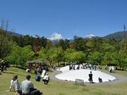 ���c�A���v�X���Â݂̌��� �x���E�䍂�n��̎ʐ^3