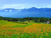 �x�m�������Ԃ̗��̎ʐ^4