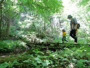 �����Ă̐X�̎ʐ^2