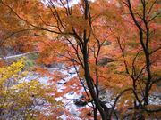 �۔��k�J�̎ʐ^2