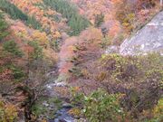 �۔��k�J�̎ʐ^3