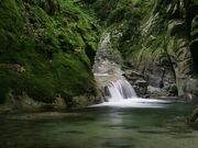 �֐�k�J�i�喾�_���j�E���{�ő勉�̃|�b�g�z�[���̎ʐ^2