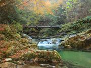 �֐�k�J�i�喾�_���j�E���{�ő勉�̃|�b�g�z�[���̎ʐ^4