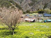 �ɓސ���̕������̎ʐ^1