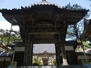 �@�P���̎ʐ^1