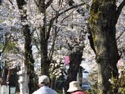 �����l�̍��i����_�Ђ̍��j�̎ʐ^2