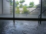 YOU�������h�̎ʐ^2