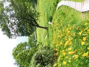 ���َR���R�A�����̎ʐ^2