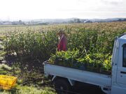 �������@�m�̑��̎ʐ^2