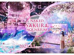 NAKED SAKURA AQUARIUM�̎ʐ^1