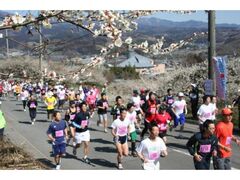 TAKASAKI CITY �͂�Ȕ~�}���\���̎ʐ^1